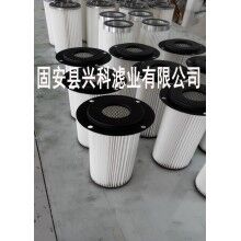 技術(shù)先進(jìn)2米鐵蓋除塵濾芯壽命長[興科]